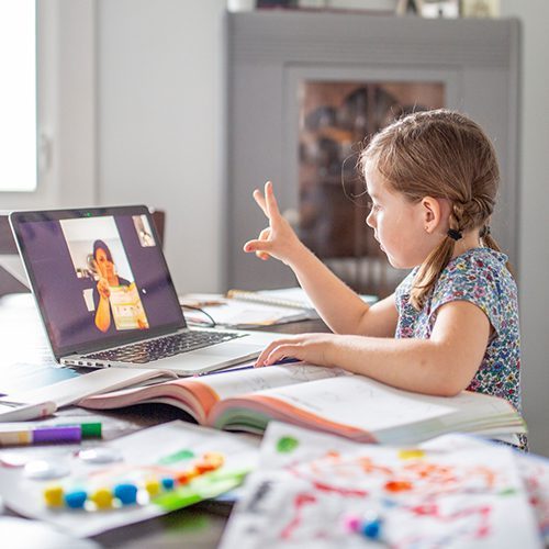 About us - Bilingual Explorer